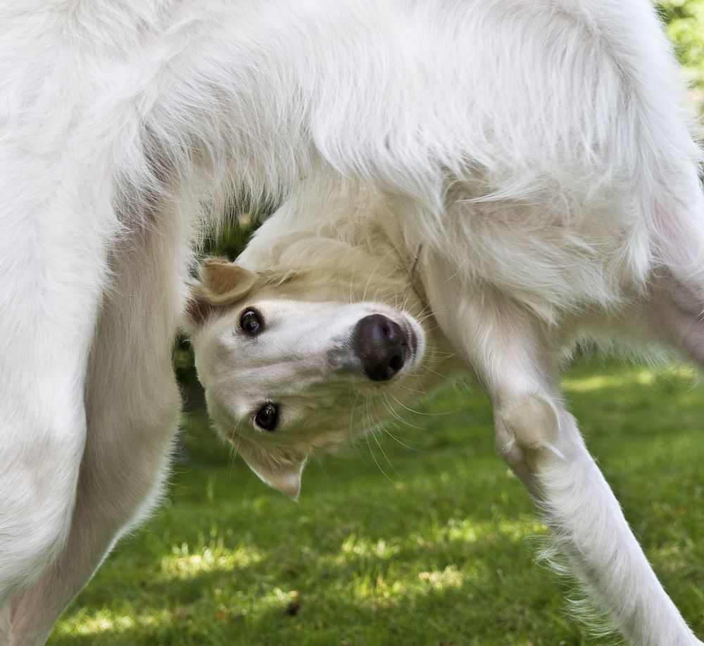 Question of the Week